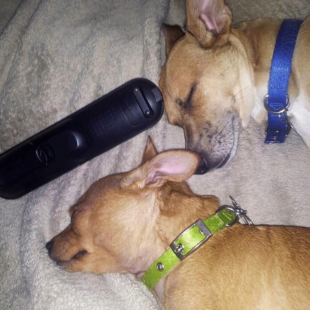 Meet your Posher, Jesse